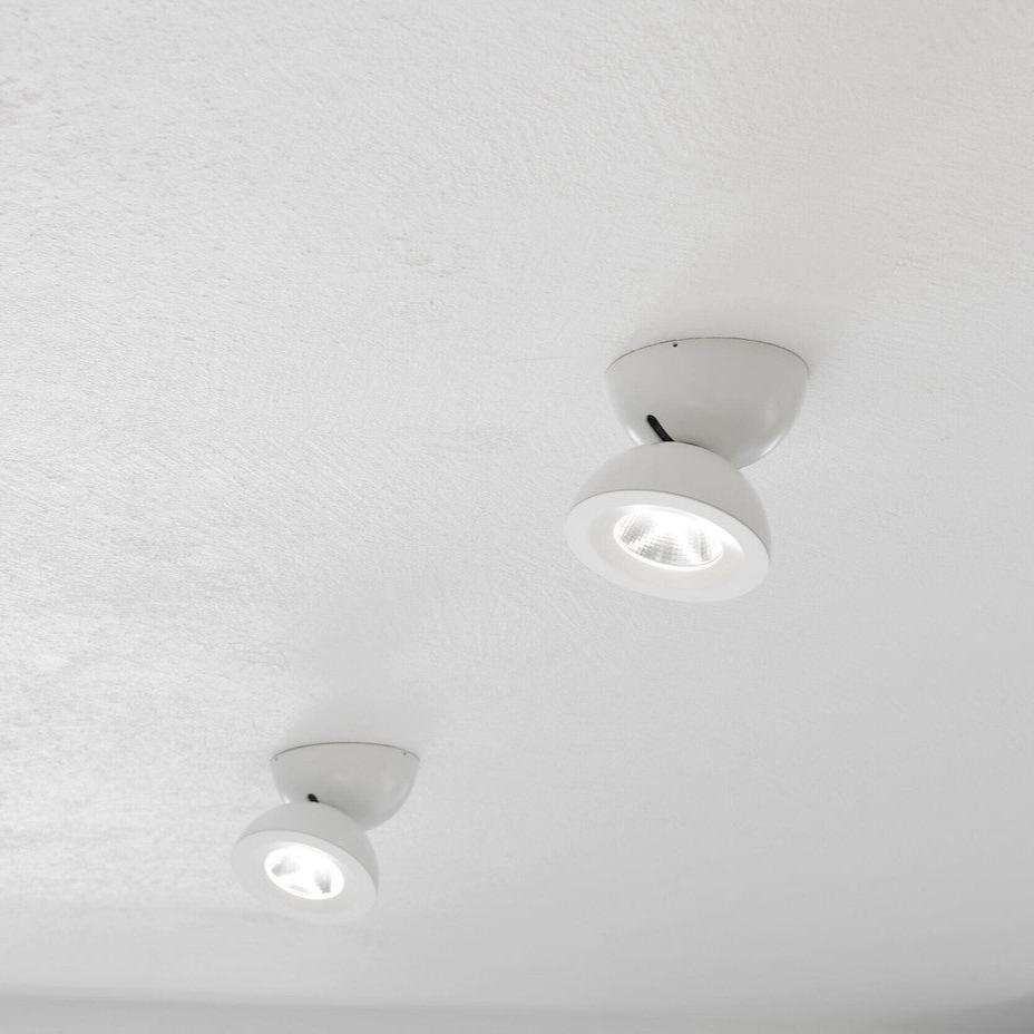 Dodot Adjustable Ceiling or Wall Spot Light, Black, LED, Phase Dim, IP20