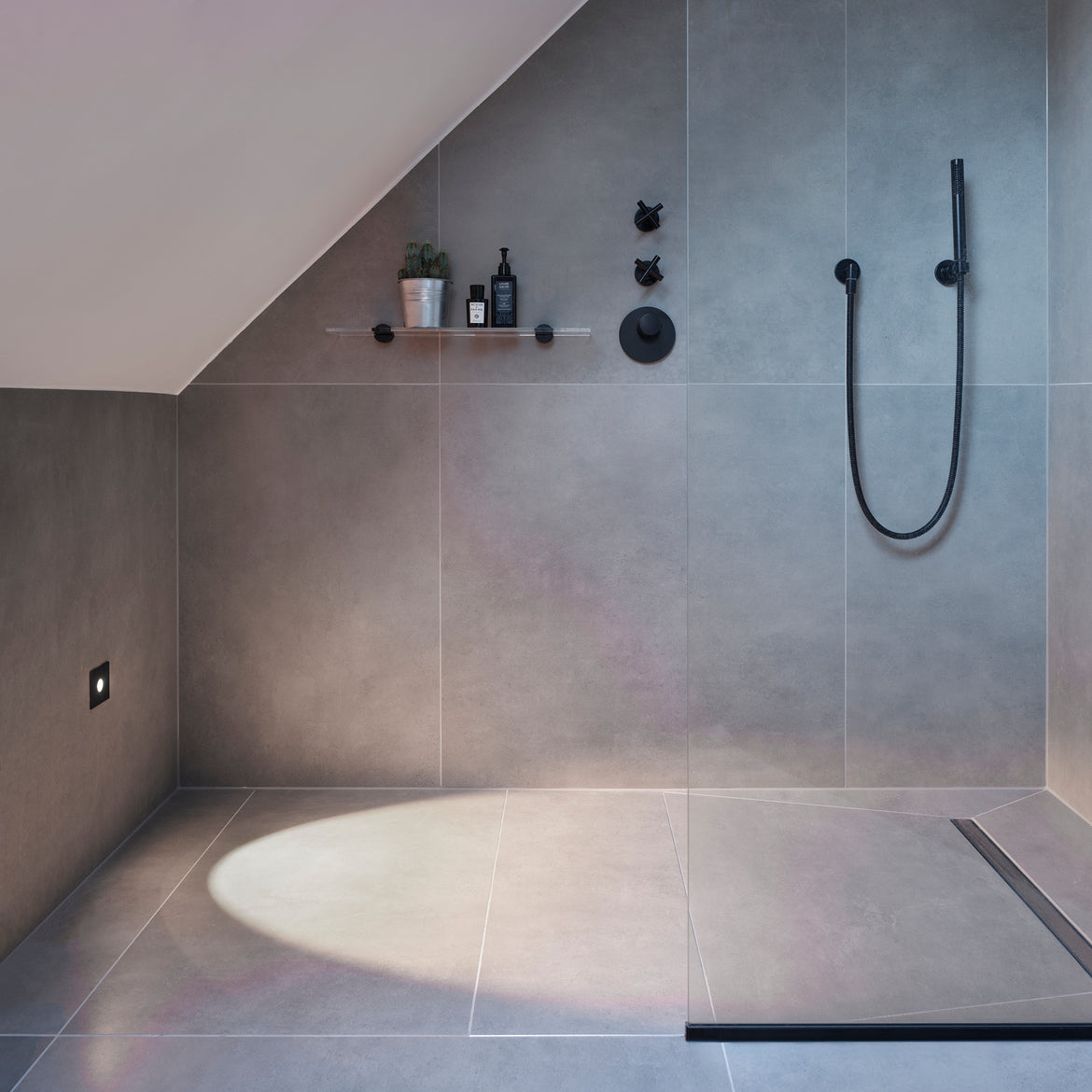 Shower room step lights