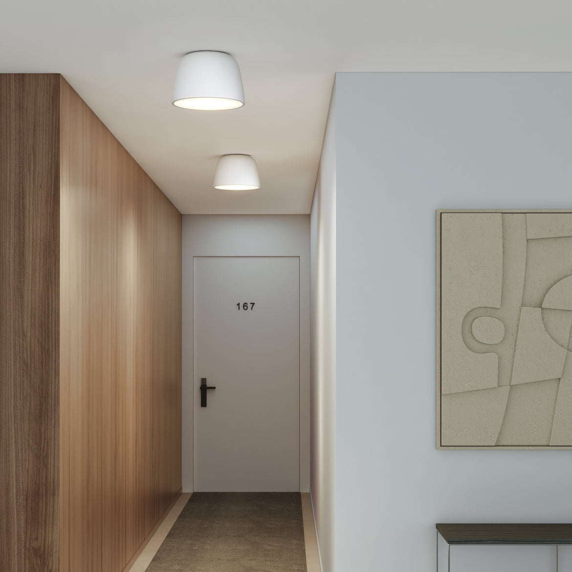 Hallway ceiling lights