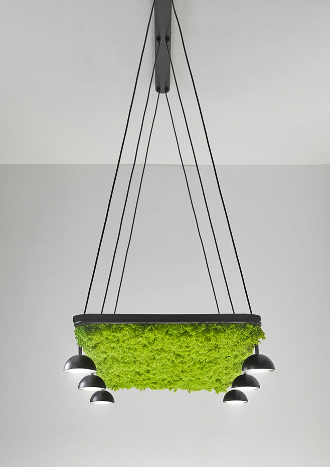 Cupolina Horizontal Pendant, LED, IP20