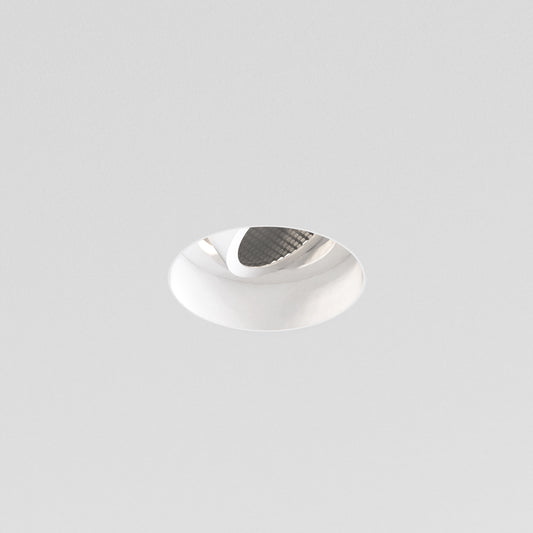 Terry Trimless Round Downlight, Adjustable, GU10, IP20