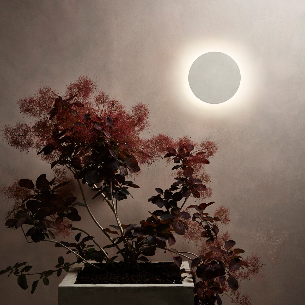 Eclipse Wall Light, Concrete, LED, On/Off, IP44