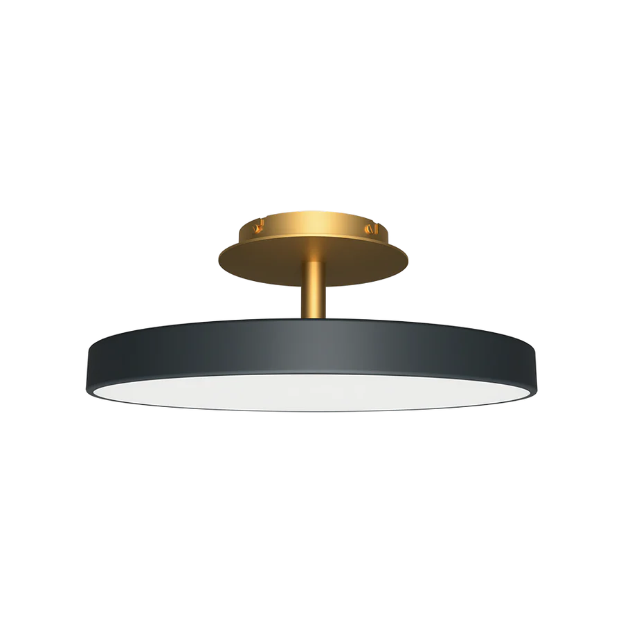 Asteria Ceiling Light, Dark Finish, LED, Triac Dim