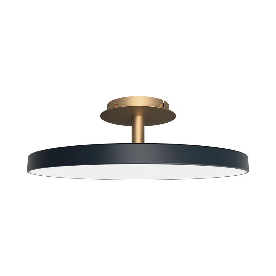 Asteria Ceiling Light, Dark Finish, LED, Triac Dim