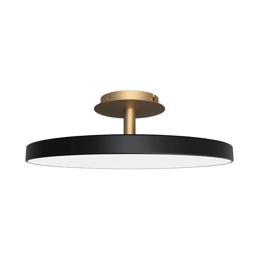 Asteria Ceiling Light, Dark Finish, LED, Triac Dim