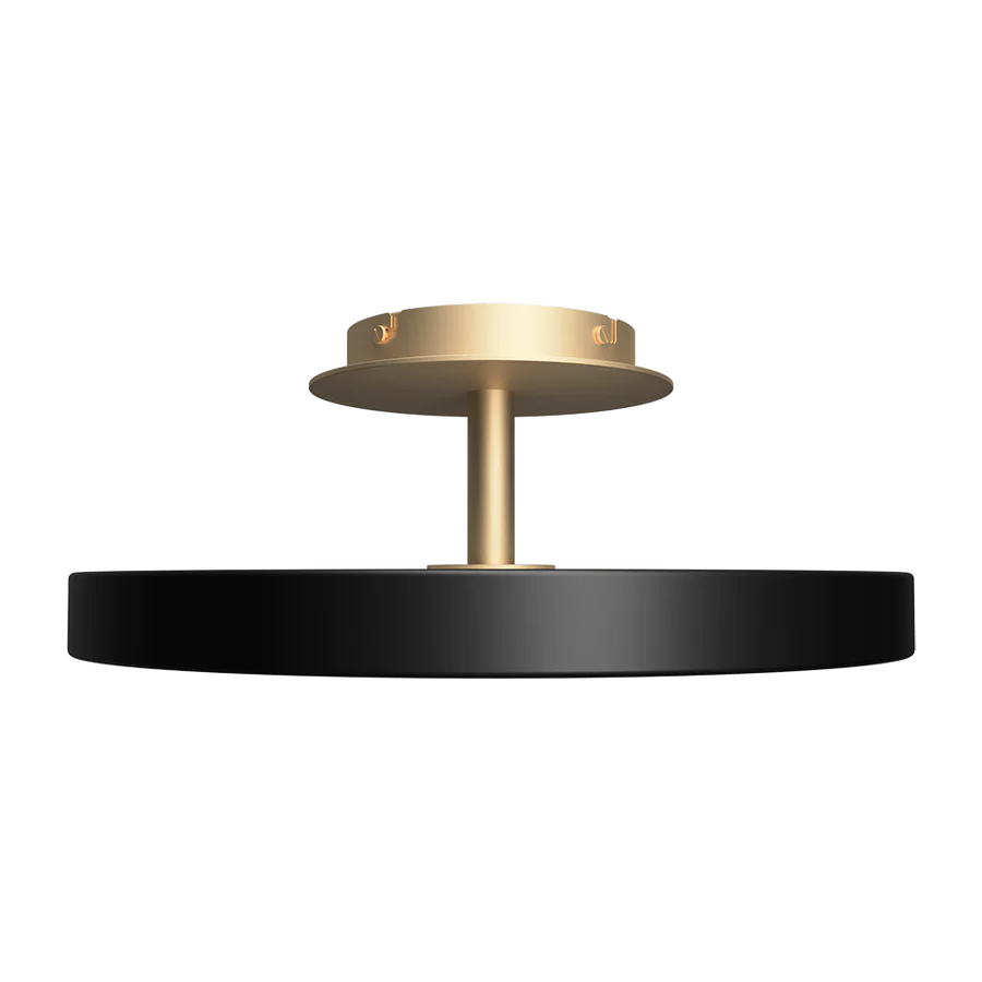 Asteria Ceiling Light, Dark Finish, LED, Triac Dim