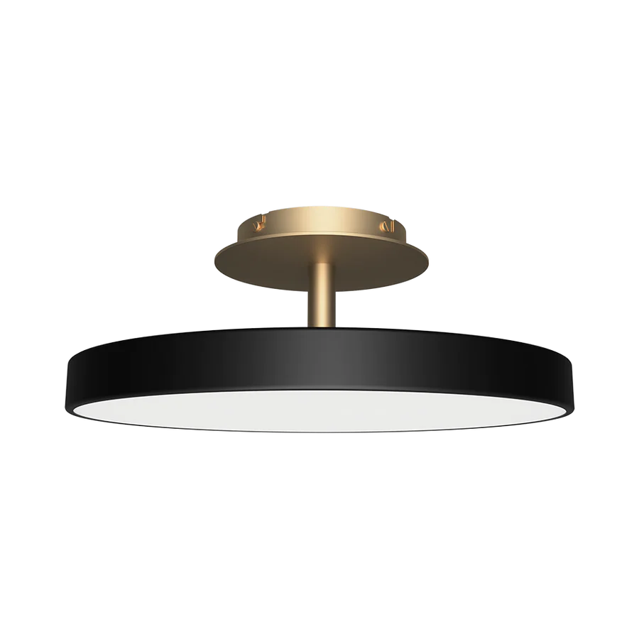 Asteria Ceiling Light, Dark Finish, LED, Triac Dim