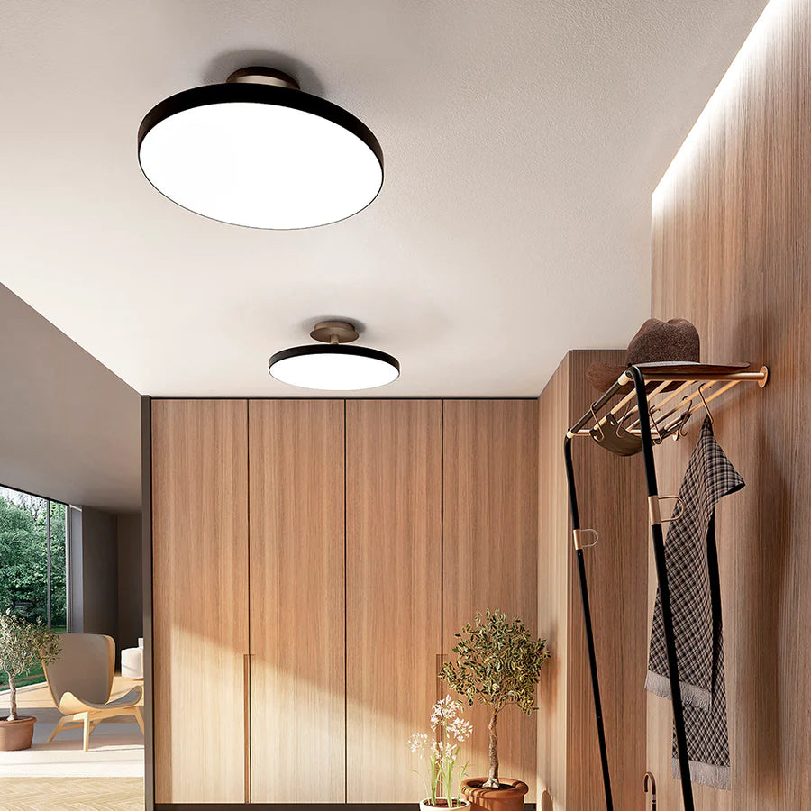 Asteria Ceiling Light, Dark Finish, LED, Triac Dim