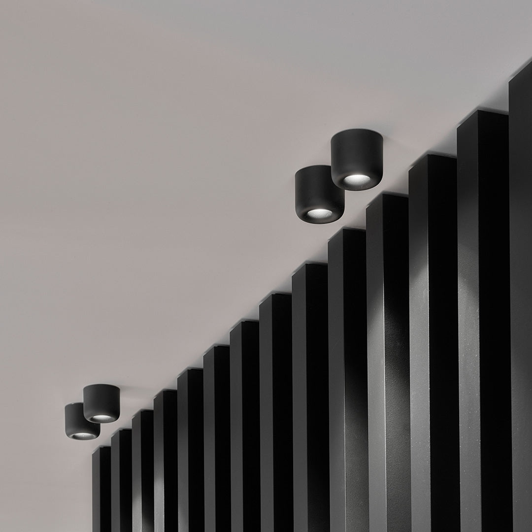 Cavity Ceiling Spot in Black with Slatted Wall Divider