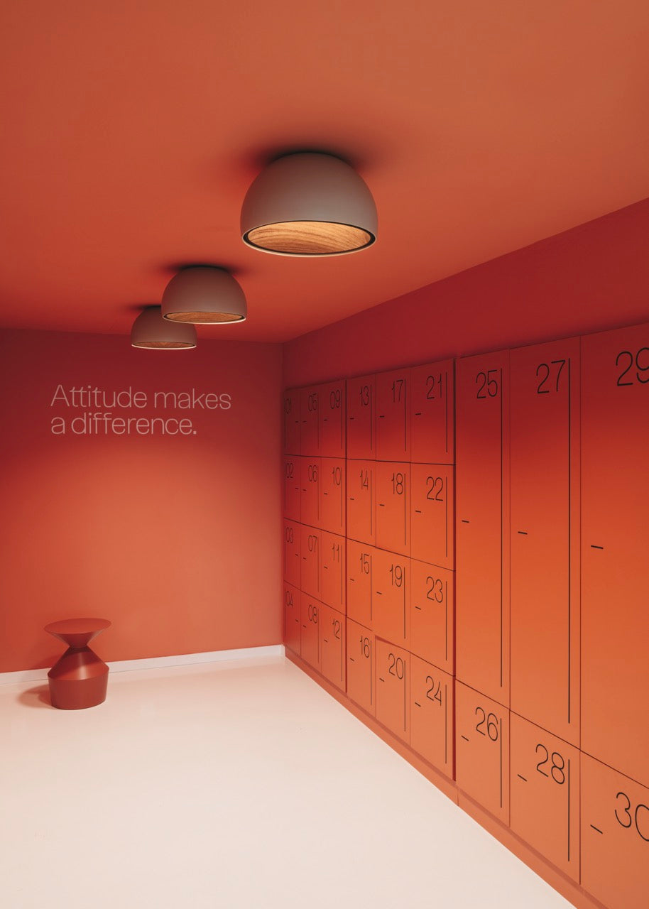 Duo Ceiling, Dome Straight Small, 35 cm ø, White with Wood Interior, 12W, LED, Dim