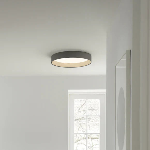 Duo Ceiling, Round Flat Small, 47.5 cm ø, Graphite with Wood Interior, 26.5W, LED, Dim