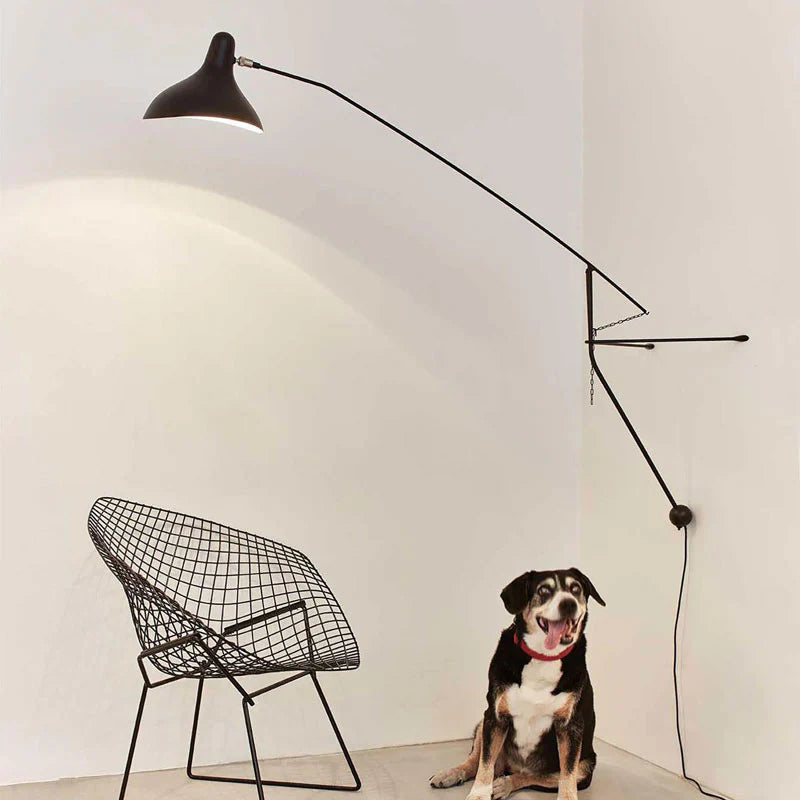 DCW Editions Mantis plug-in wall light BS2 above black chair with a dog sitting on the floor