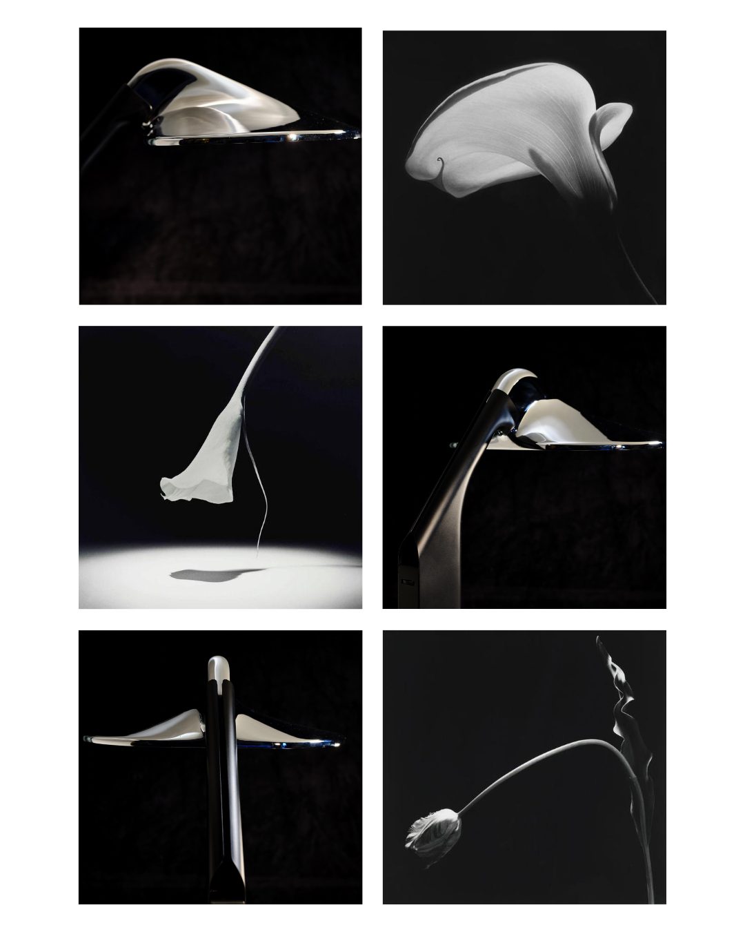 DCW Editions Niwaki desk light with images of flowers as inspiration