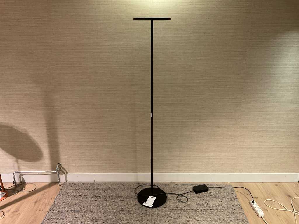 Athena Floor Lamp, Black, LED, Touch Dim, IP20